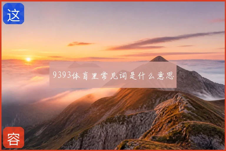 9393体育里常见词是什么意思