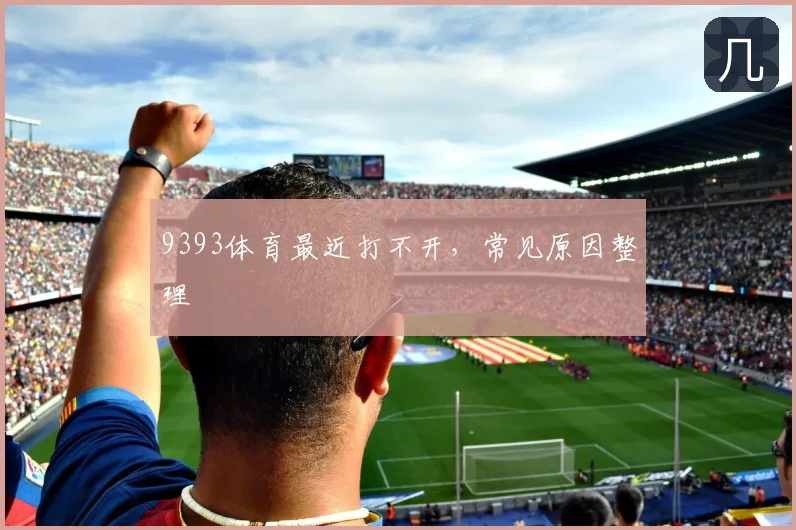 9393体育最近打不开，常见原因整理